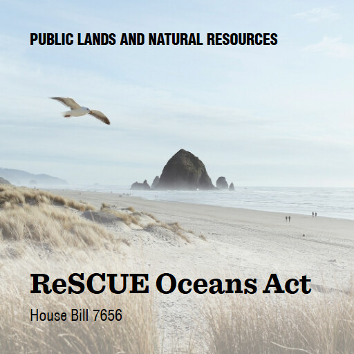 H.R.7656 119 ReSCUE Oceans Act