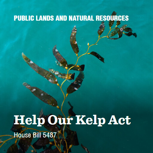 H.R.5487 118 Help Our Kelp Act
