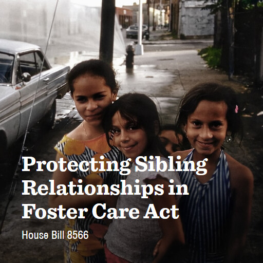 H.R.8566 119 Protecting Sibling Relationships in Foster Care Act