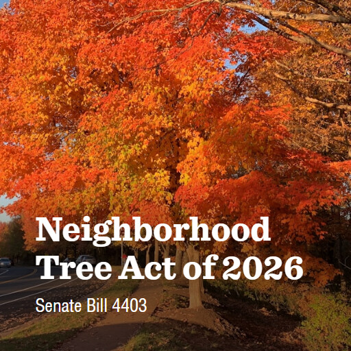 S.4403 119 Neighborhood Tree Act of 2026