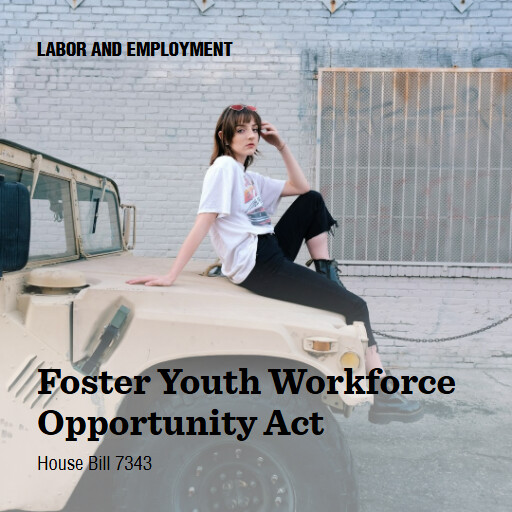 H.R.7343 119 Foster Youth Workforce Opportunity Act