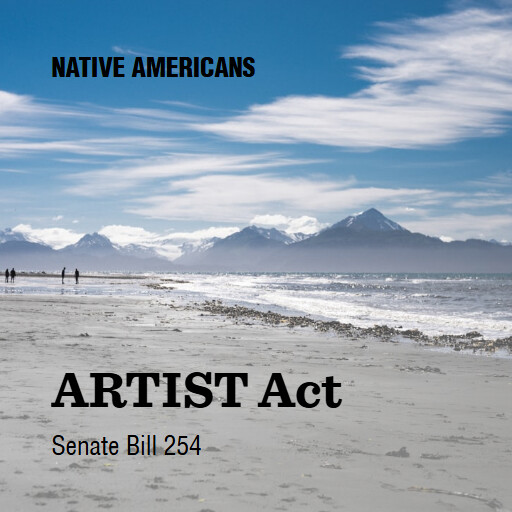 S.254 119 ARTIST Act