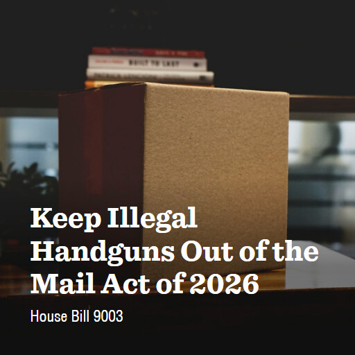 H.R.9003 119 Keep Illegal Handguns Out of the Mail Act of 2026