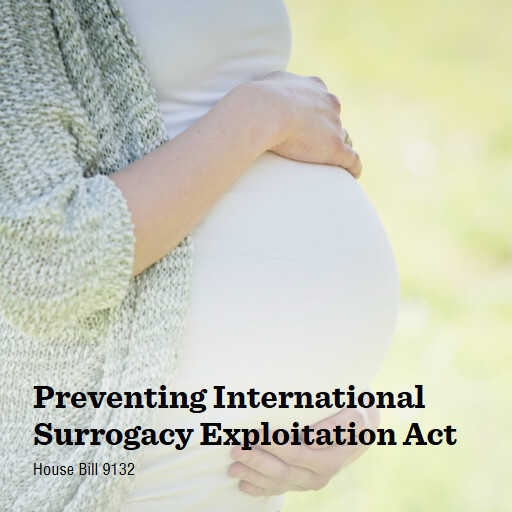 H.R.9132 119 Preventing International Surrogacy Exploitation Act