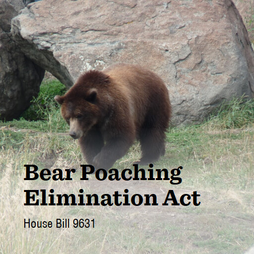 H.R.9631 119 Bear Poaching Elimination Act