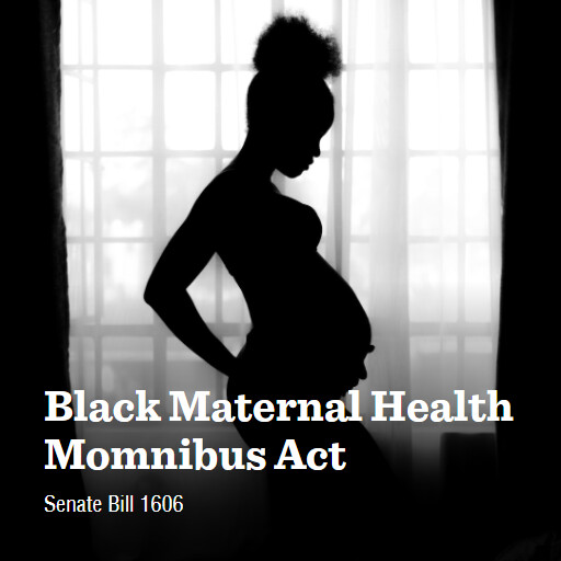 S.1606 118 Black Maternal Health Momnibus Act