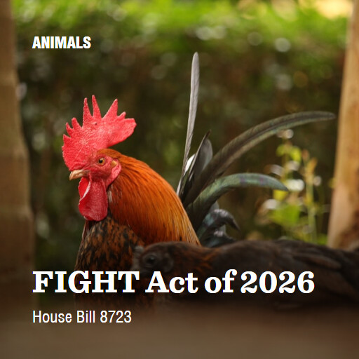 H.R.8723 119 FIGHT Act of 2026