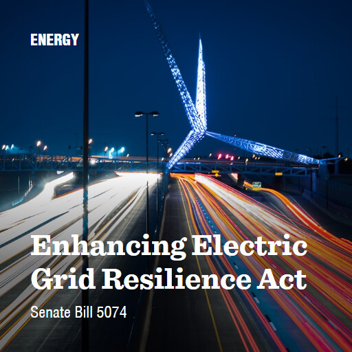 S.5074 119 Enhancing Electric Grid Resilience Act