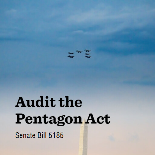 S.5185 119 Audit the Pentagon Act
