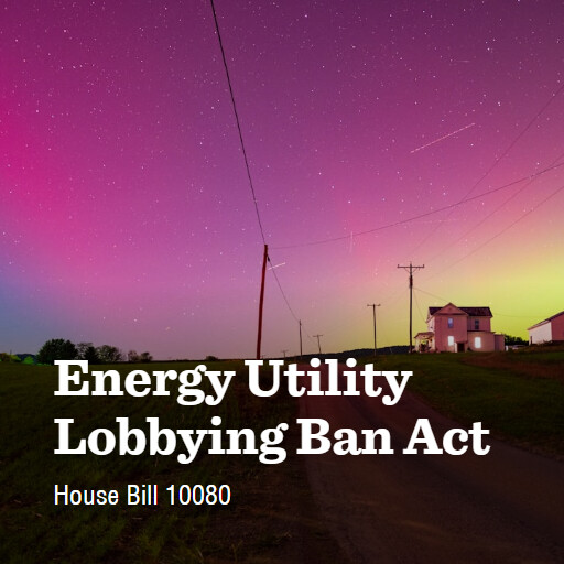 H.R.10080 119 Energy Utility Lobbying Ban Act