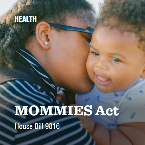 H.R.9816 119 MOMMIES Act
