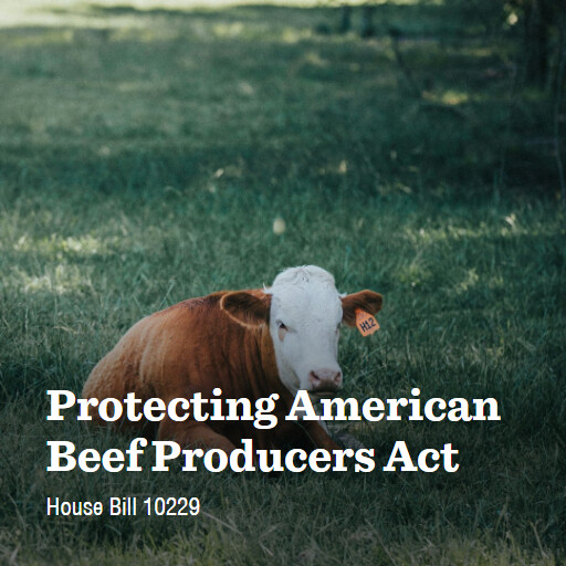H.R.10229 119 Protecting American Beef Producers Act