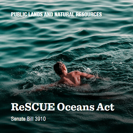 S.3910 119 ReSCUE Oceans Act 2