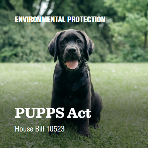 H.R.10523 119 PUPPS Act