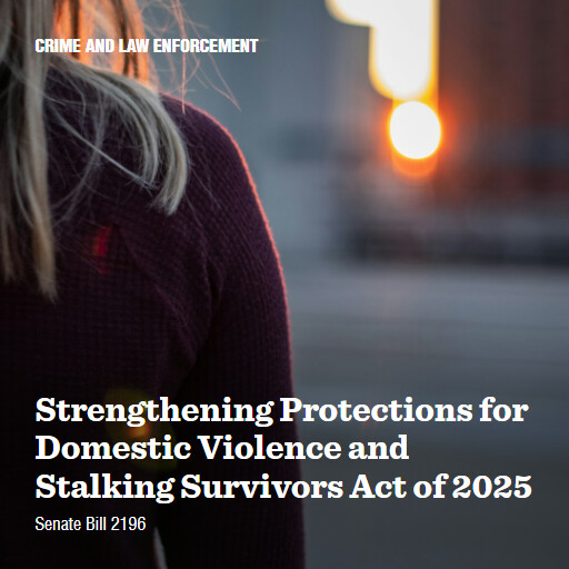 S.2196 119 Strengthening Protections for Domestic Violence and Stalking Survivors Act of 2025