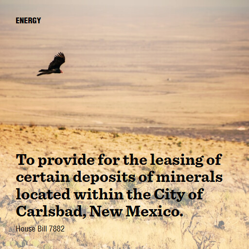 H.R.7882 119 To provide for the leasing of certain deposits of minerals located within the City of Carl