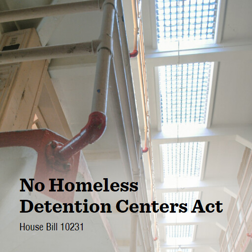 H.R.10231 119 No Homeless Detention Centers Act