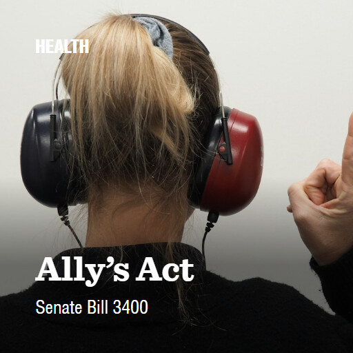 S.3400 119 Allys Act